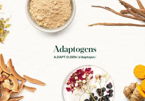 Adaptogens