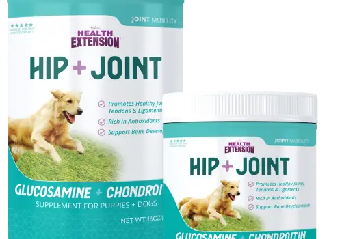 Joint & Mobility