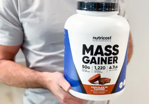 Mass Gainers